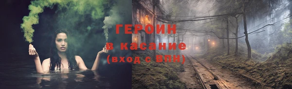 прущие грибы Верея